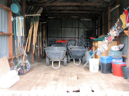 Organized tool shed with wheelbarrows in
