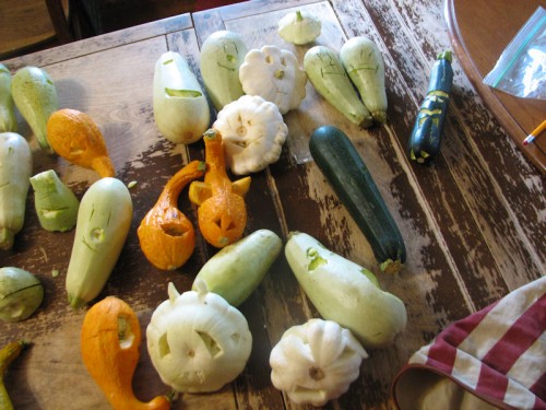 This is what you do with excess--especially overmature--summer squash.