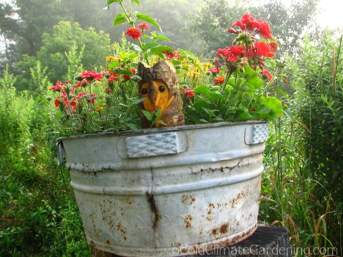 old washtub with wooden owl