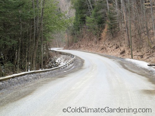 curving downhill road