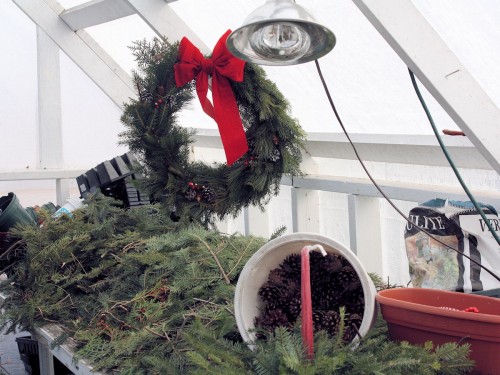 Neil Moran Wreath making in greenhouse